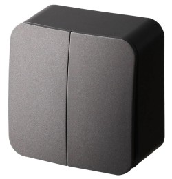 Выключатель 2-клавишный Jasmart FS FS3023B