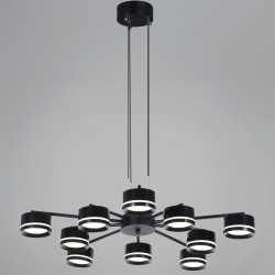 Потолочная люстра Reluce 19490-0.4-5+5 Black